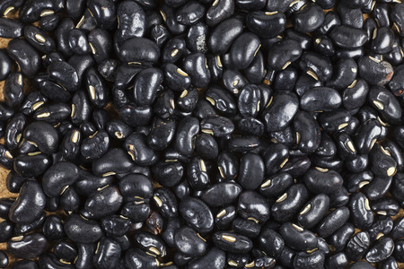 Black Eyed Peas background.