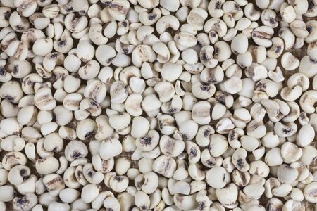 Millet rice closeup backgroun
