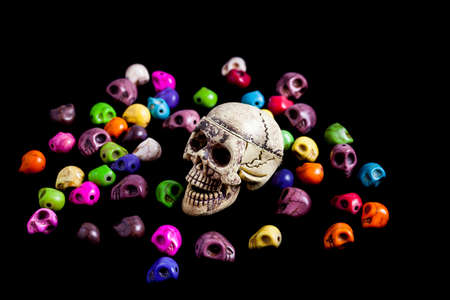Model of human skull on black background.の写真素材