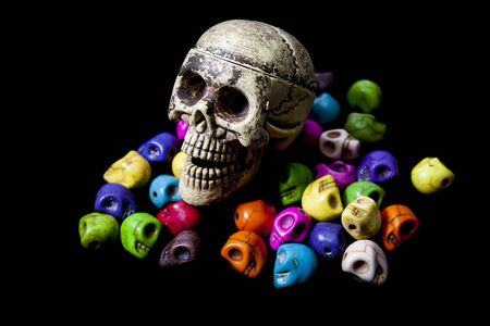 Model of human skull on black background.の写真素材