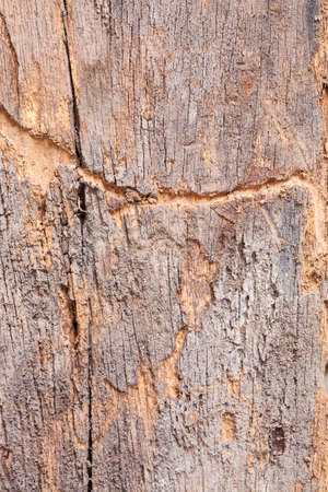 Old wooden board background.