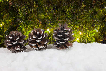 Winter decoration background.の写真素材