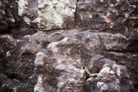 Texture stone Background.