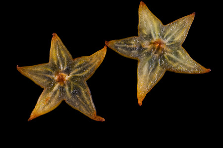 Star apple on a black background, Carambolaの写真素材