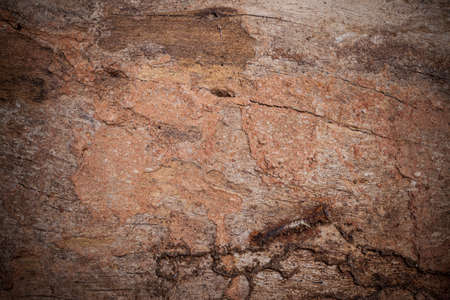 Wood cracked and dust background texture.