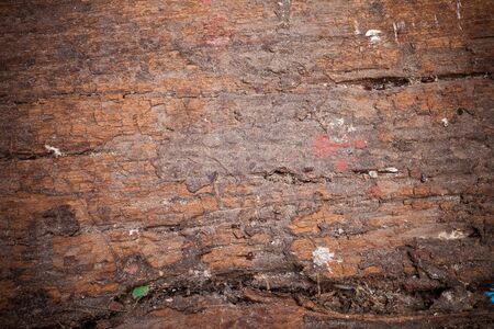 Old wood cracked and dust background texture.