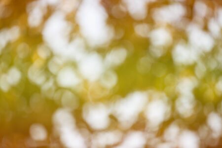 Colorful blur natural bokeh background.の写真素材