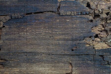 Background old wood rotten.