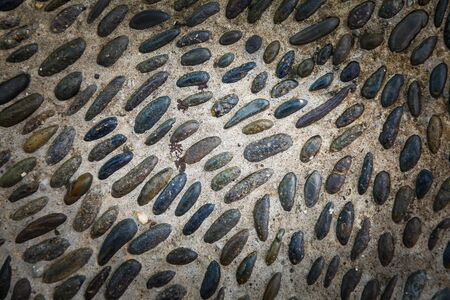 Round stones in the ground, Cobblestones in concrete background.の写真素材