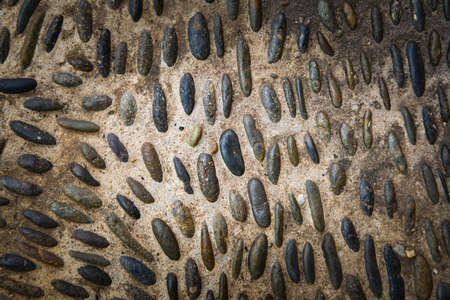Round stones in the ground, Cobblestones in concrete background.の写真素材