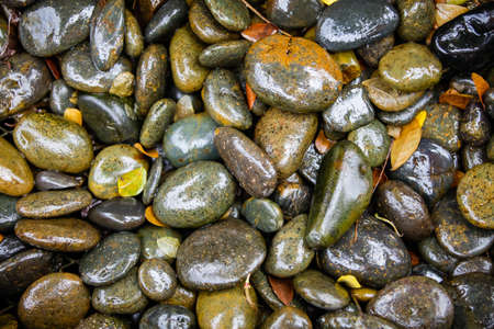 Pebble on the ground.の写真素材