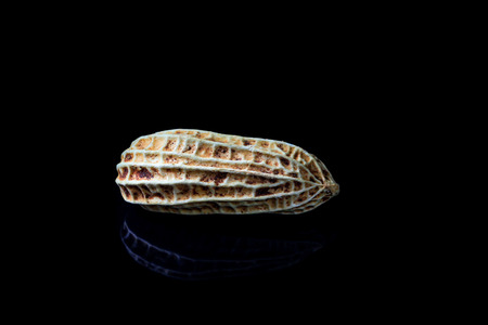 Peanut on a black background.