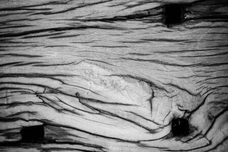 Rotten wood, Wood decay, Old wooden patternの写真素材