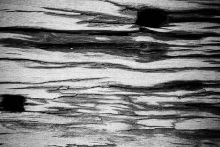 Rotten wood, Wood decay, Old wooden patternの写真素材