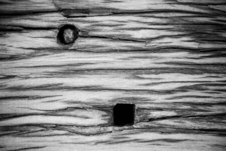 Rotten wood, Wood decay, Old wooden pattern