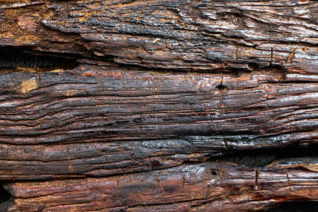 Rotten wood, Wood decay, Old wooden patternの写真素材