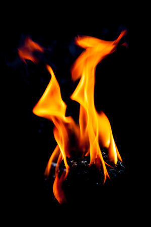 Flame fire movement on a black background.の写真素材