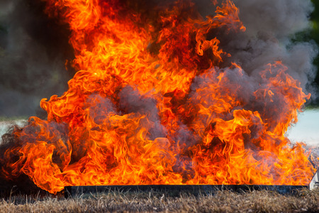 Movement flame fire.