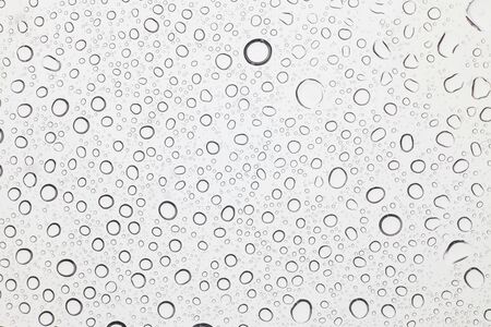 Water drops on glass, Rain droplets on glass background.の写真素材