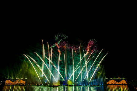 Beautiful fireworks in the night sky.