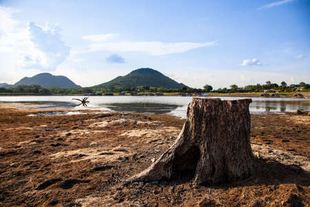 White paper texture pattern abstract background.の写真素材