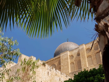Al-Aqsa mosque seen from the Archeological park in the old city of Jerusalemの素材