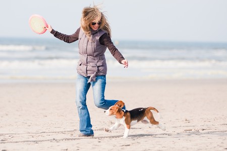 Girl playing with her beagle puppy  on beachの写真素材