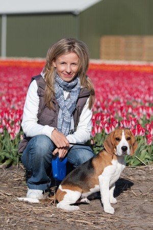 Young woman walking with her beagle dog on flower fieldsの写真素材