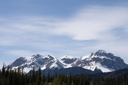 Snowy mountain range with blue sky and forest in foreground, shot at Kananaskis, Alberta, Canada