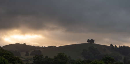 Cloudy sunset scene with hills and solitary trees on top of them. Shot in Kaikoura, New Zealand