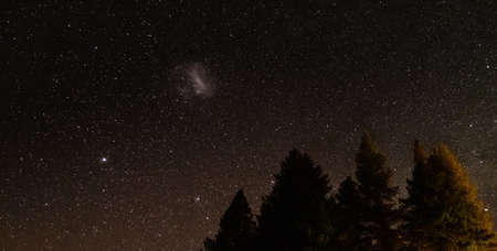 Night sky full of stars with trees in foreground shot at Lake Tekapo, New Zealandの写真素材