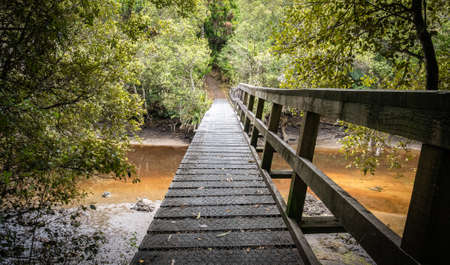 Wooden bridge leading leading above muddy river in the jungle. Shot made on Stewart Island Rakiura, New Zealandの写真素材