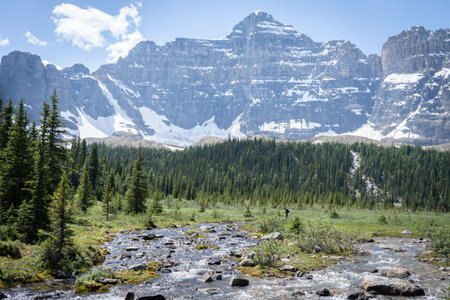 Scenic alpine valley with forest, river, mountains and blue sky in background ,Banff National Park,Canadaの写真素材