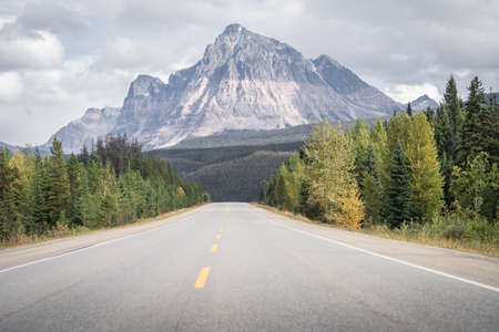 Deserted alpine highway leading to the prominent mountain in the background, Jasper NP, Canadaの写真素材