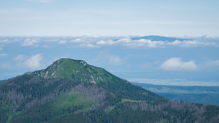 Alpine vista with green mountain and prominent peak shrouded in clouds in the background,EU,Slovakiaの写真素材