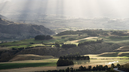 Landscape with green rolling hills and pastures lit by soft warm sunlight, New Zealandの写真素材