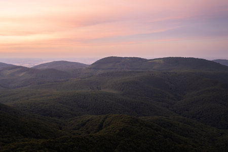 Green forested hilly landscape with purple skies during early morning sunrise, Slovakia, Europeの写真素材