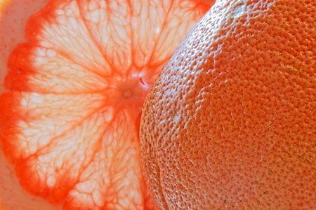 Grapefruitの写真素材