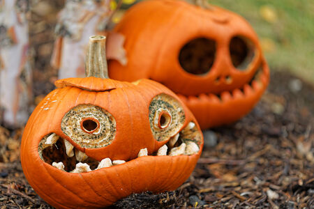 Halloween Pumpkin の写真素材