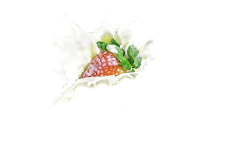 Strawberry in Milk の写真素材