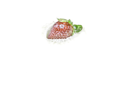 Strawberry in Milk の写真素材