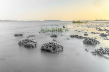 Vulcanic stones on the beach in hilton head island