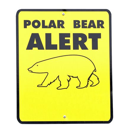 yellow sign POLAR BEAR ALERT on white backgroundの写真素材