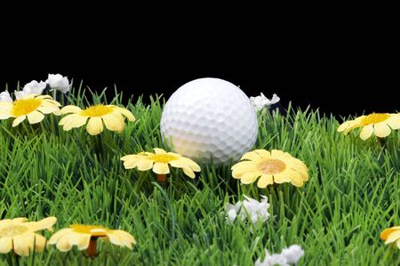 green fairway with daisies, isolated on black backgroundの写真素材