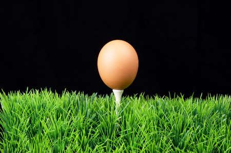 Single Easter Egg on a golf tee at the fairway, black backgroundの写真素材