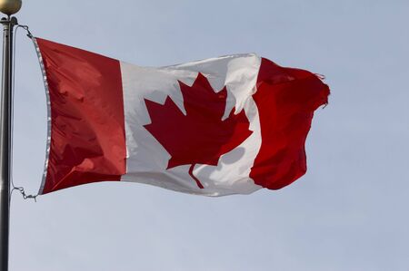 red and white waving Flag of Canada - Maple Leaf Flagの写真素材