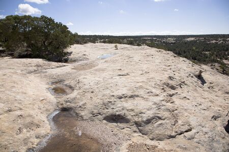 Bryce Canyon National Park, seen  from Natural Bridgeの写真素材