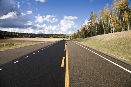 Country Road - Kaibab National Forest Arizona USA