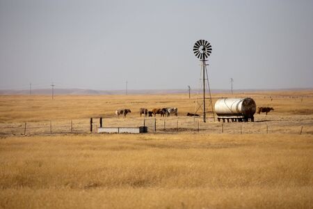 Windmotor on grasland in California, USAの写真素材