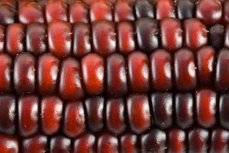 Corn detail betaの写真素材